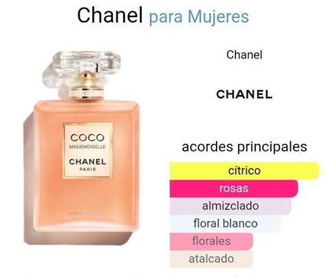 notas de chanel mademoiselle|coco mademoiselle perfume.